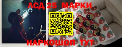 индика Новодвинск
