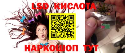 индика Новодвинск