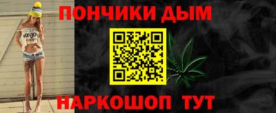 индика Новодвинск