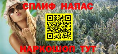 индика Новодвинск