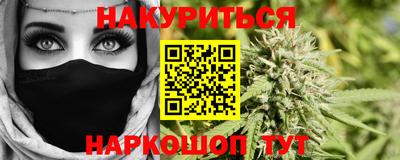индика Новодвинск