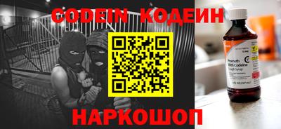 индика Новодвинск